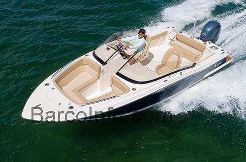 Scout 215 Dorado ficha técnica y opiniones